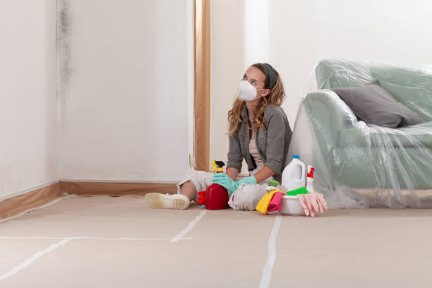 Reliable Black Mold Removal contractor in Lakeland, MN by WQB Mold Removal